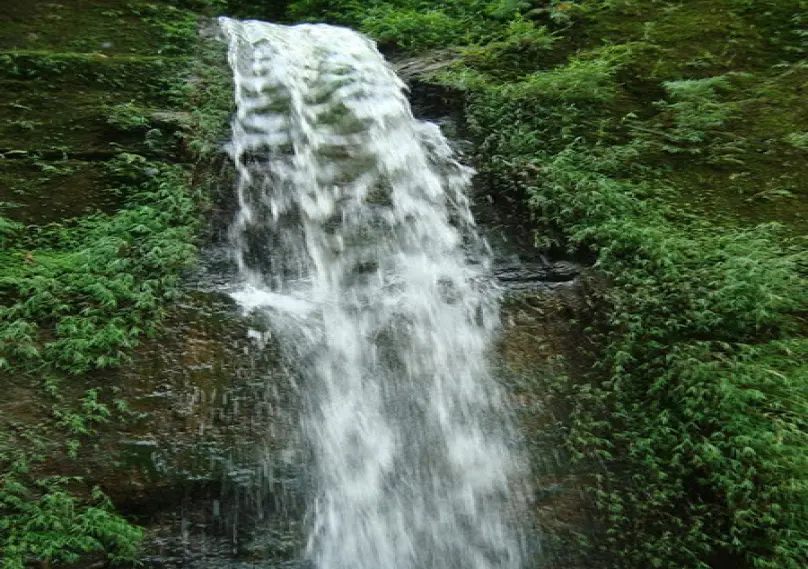 Beautiful natural waterfall in Cox’s Bazar surrounded by lush greenery.